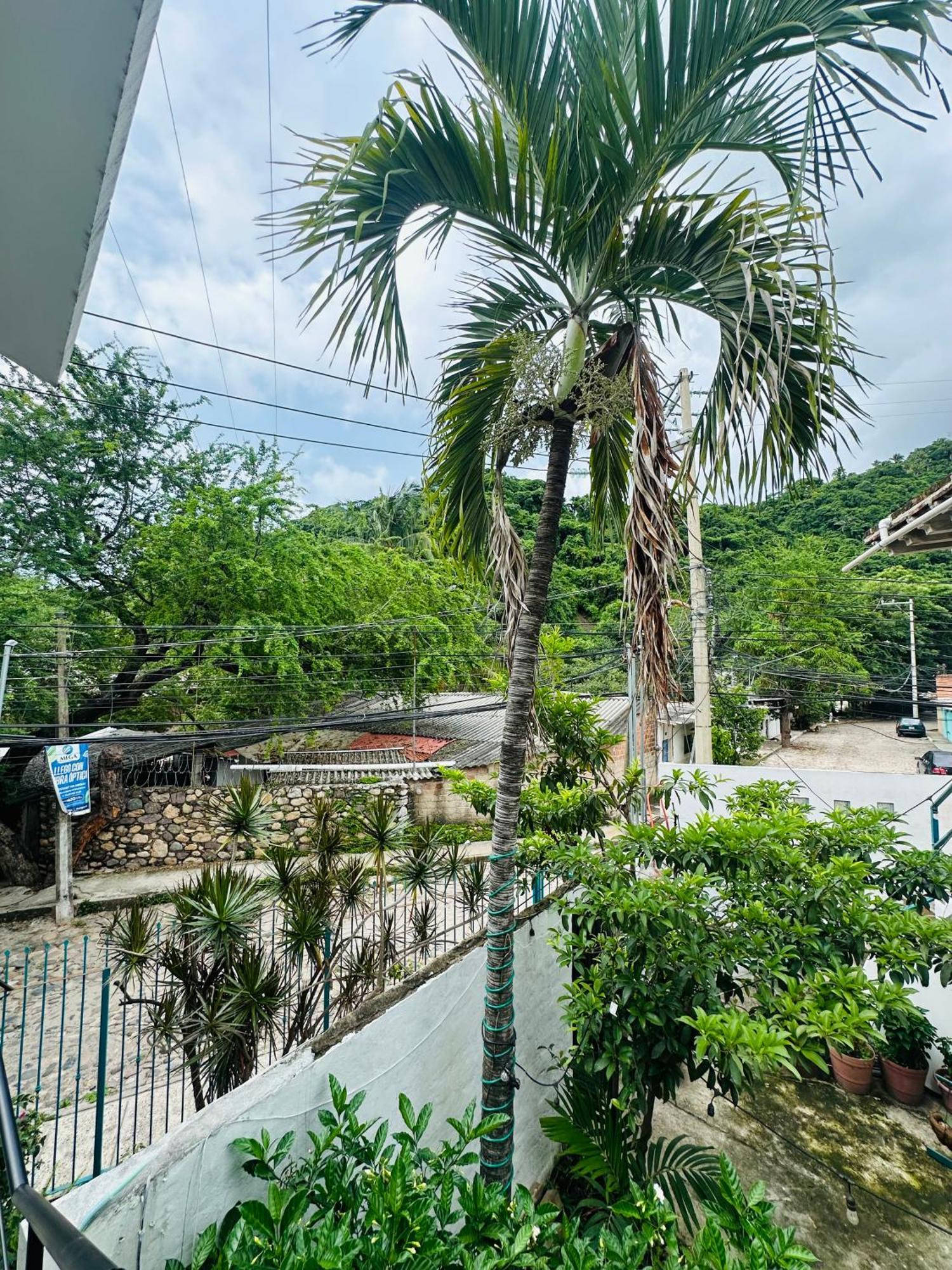 Loft Rio Lägenhet Puerto Vallarta Exteriör bild