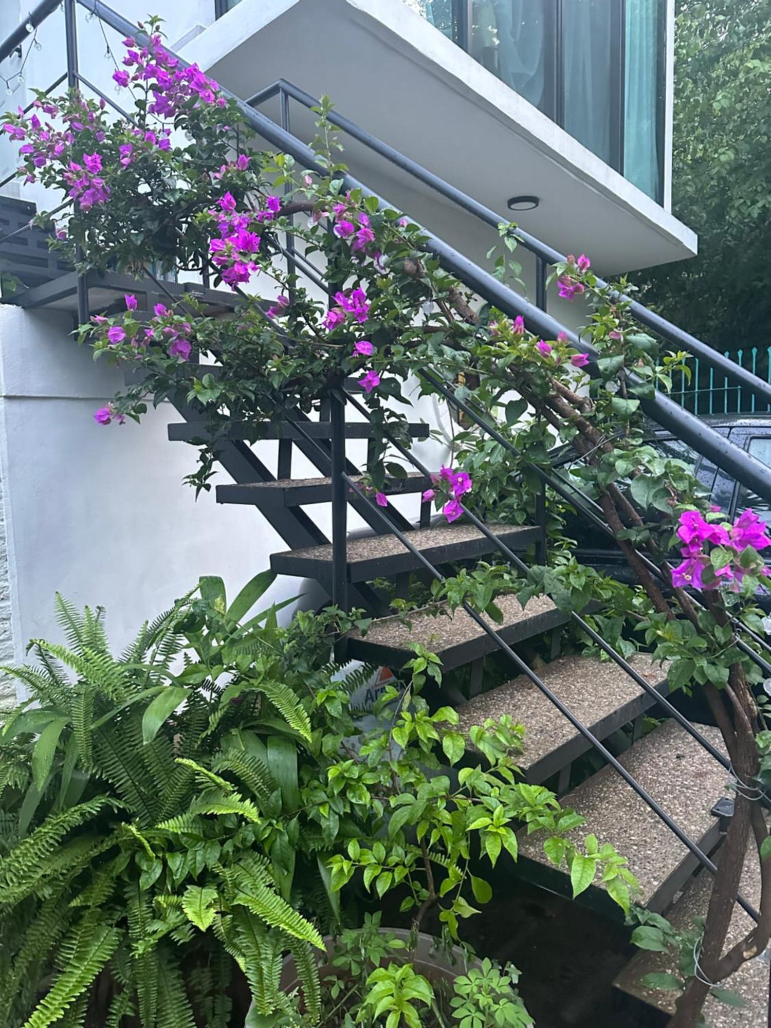 Loft Rio Lägenhet Puerto Vallarta Exteriör bild